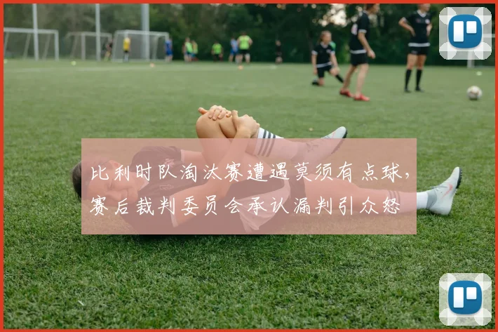 比利时队淘汰赛遭遇莫须有点球，赛后裁判委员会承认漏判引众怒